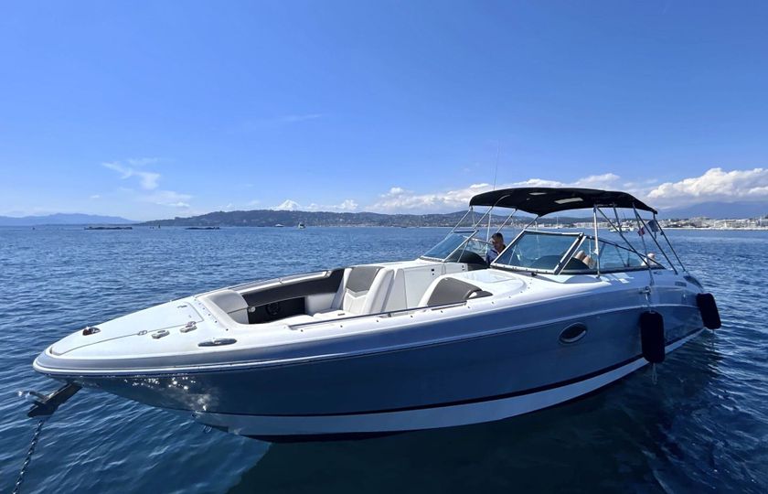 Motorboat Fourwinns H310 600hp