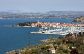 Izola port
